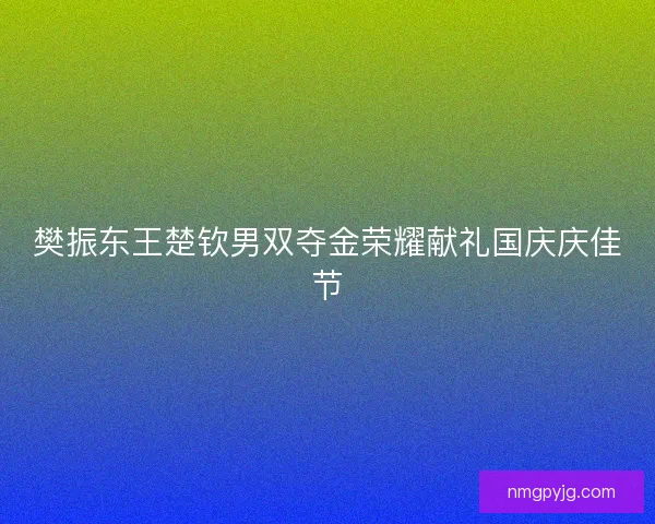 樊振东王楚钦男双夺金荣耀献礼国庆庆佳节