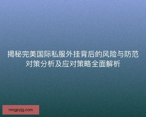 揭秘完美国际私服外挂背后的风险与防范对策分析及应对策略全面解析