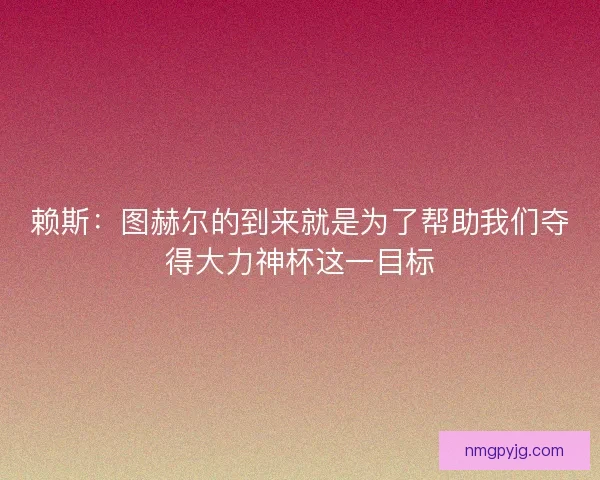 赖斯：图赫尔的到来就是为了帮助我们夺得大力神杯这一目标