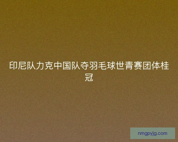 印尼队力克中国队夺羽毛球世青赛团体桂冠